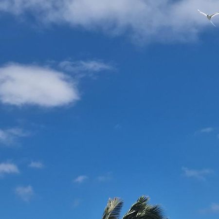 La Boheme, Residence De 5 Appartements Avec Piscine, Vue Ocean, Petite Ile ภายนอก รูปภาพ