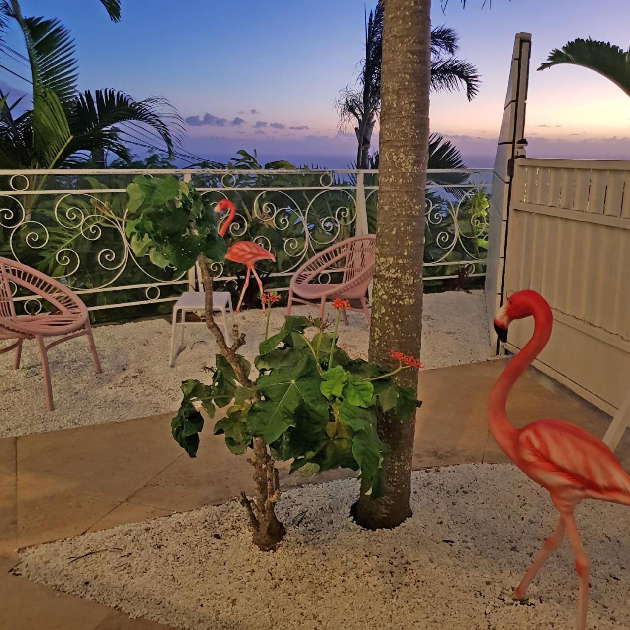 La Boheme, Residence De 5 Appartements Avec Piscine, Vue Ocean, Petite Ile ภายนอก รูปภาพ